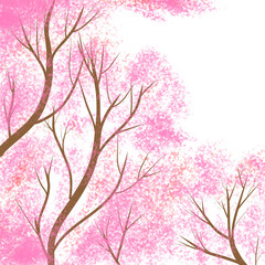 Fototapeta premium Winter cherry blossom painting,pink cherry blossom.