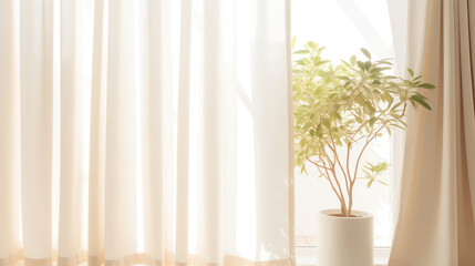 Soft Light Filtering Through Sheer Curtains on Green Potted Plant by the Window