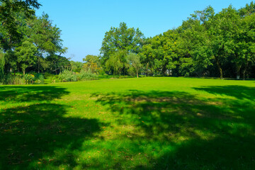 Serene Green Park Landscape with Blue Sky