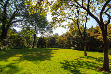 Serene Park Landscape with Lush Green Trees