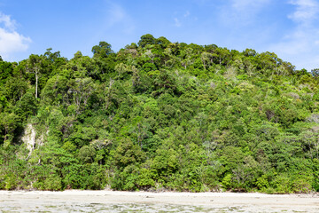 Tropical rainforest meets sandy beach in Sabah, Malaysian Borneo under a blue sky. A serene landscape.
