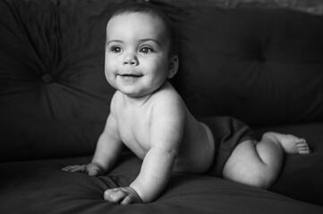 Cute emotional smiling funny infant boy sitting on straight arms on dark grey deep navy blue couch sofa. Baby facial expressions. Healthy child. Home comfortable furniture, happy family concept. 