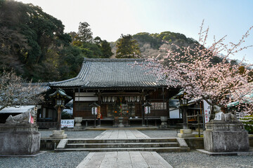 京都 嵐山 法輪寺と桜
