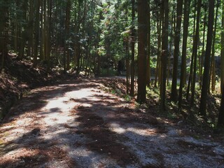 Fototapeta premium 田舎の山の中の道路