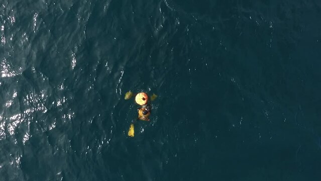 제주도 항공 드론 촬영, 한라산, 성산일출봉, 제주여행, 제주하늘, 제주바다, 섭지코지, 해녀, 산방산, 협제, 비양도, 서귀포, 차귀도,곶자왈
