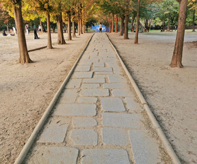 Small stone walkway and Fall maple leaves foliage in orange and green colour in deep forest of Autumn in Seoul Forest park in Seongdong-Gu area. There are many people walk in the park in the evening.