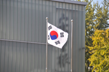 Korean National flag  Taegeukgi flies in front of the building in the park in Autumn