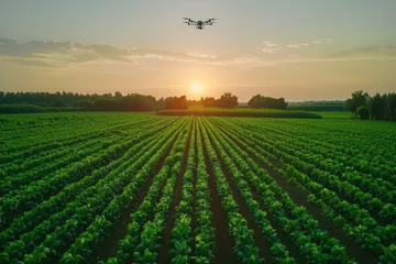 Deurstickers Technology flying drone for use in agriculture and others. © Dream AI Stock