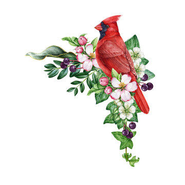 Vintage style spring time decor with garden bird, flowers. Watercolor illustration. Hand drawn red cardinal bright bird, garden flowers, berries, ivy, leaves element. Spring season painted cozy decor