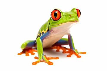 Afwasbaar fotobehang a frog with red eyes sitting on a white surface © illustrativeinfinity
