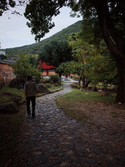 Fototapeta na wymiar Korean temples, Korean traditional style and nature