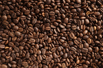 Close-up of roasted coffee beans