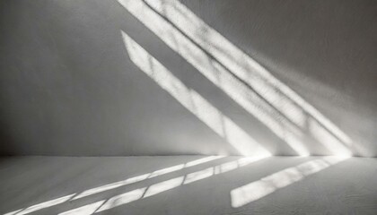 film strip background, Natural light flares on white wall texture background. White stucco wall surface background with diagonal light beam and shadows lines and silhouettes for backgrounds, overlay e