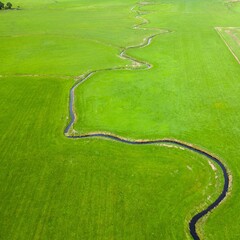 Fototapeta premium green grass field