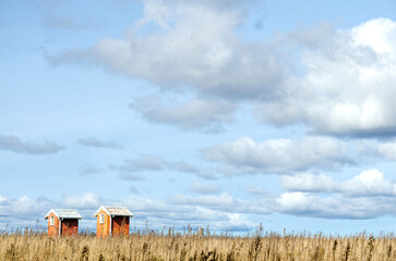 Australian landscape showing two small, old sheds in a vast field of dry grass with vast blue sky and white clouds, Australia. Rural scene. No people.