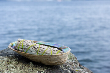 White sage healing smudge stick tied with green thread and a abalone seashell next to the ocean. 