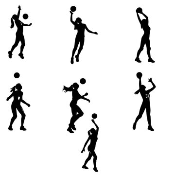 "Volleyball Players"-Bilder: Stock-Fotos & -Videos. | Adobe Stock