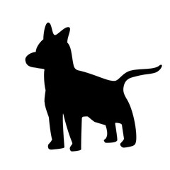 dog pet silhouette