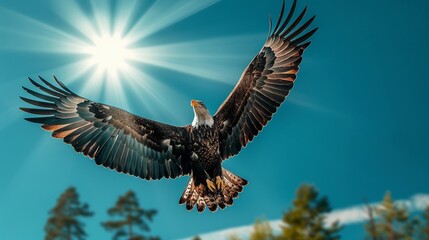 Eagle as a pilot, soaring high, sunlight, clear blue sky, wide lens, high contrastlow texture