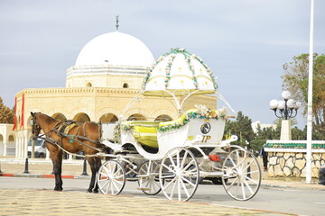 horse and carriage monastir, tunisia