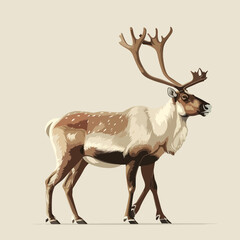 caribou isolated
