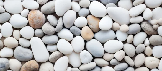 Selbstklebende Fototapete Steine​ im Sand Serenity by the Shore: Tranquil White and Grey Pebbles on Sandy Beach
