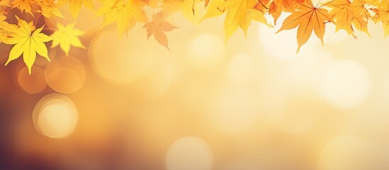 Naklejka na ściany i meble Vibrant Fall Foliage: Autumn Background Embracing Yellow Leaves Falling in Seasonal Tranquility