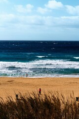 beach in the morning