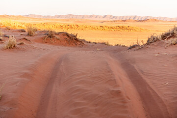 Fototapeta na wymiar A very early morning in the Namibian Desert, near Cha-re, around sunrise
