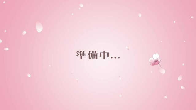 桜吹雪に準備中の文字のループ動画　ピンク背景