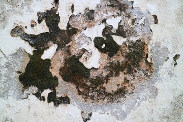 texture of a wall with destroyed bricks, crumbling plaster and damaged protective paint, abstract background. Brick wall with crumbling plaster.