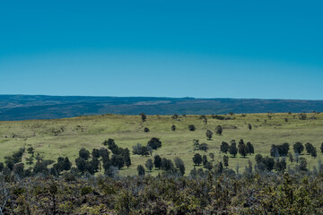 The Ranch and lava flows of the southeastern flank of Mauna Loa. Mamalahoa Hwy / Hawaiʻi Belt Rd, Hawaiʻi Volcanoes National Park. Hawaii island / big island. shield volcano