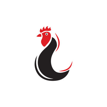 chicken logo and vector template
