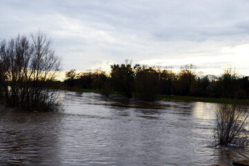 Fototapeta premium Flood in Winter at the River Aller near the Town Rethem, Lower Saxony