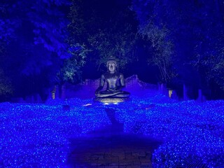 Experience the Nasatta Light Festival, it's all about stunning designs and cultural wonders, bright...