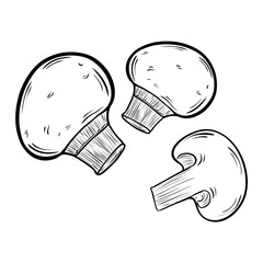 Set of button mushroom drawing.