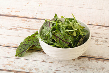 Green mix salad in the bowl