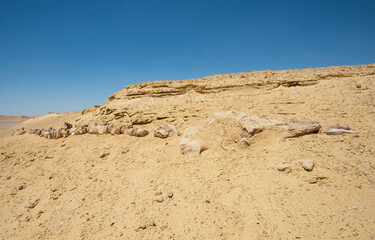 Fototapeta na wymiar Barren desert landscape in hot climate with fossil skeleton