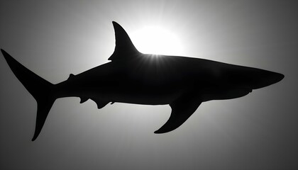 A Hammerhead Shark With Its Distinctive Silhouette Upscaled 4