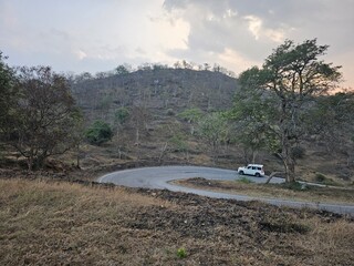 View from bandipur national park in karantaka, India. 