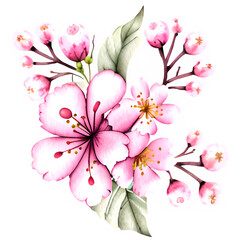 Cherry flowers with green leaves 