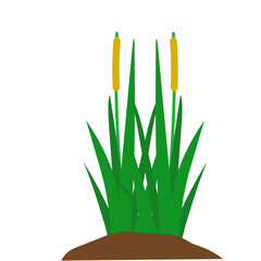 Illustration of Swamp Weed Grass with Mounds of Soil