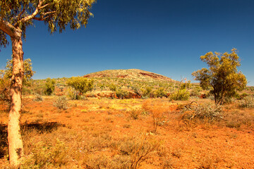 Experience the awe-inspiring scenery of Karijini National Park while bushwalking in Western...