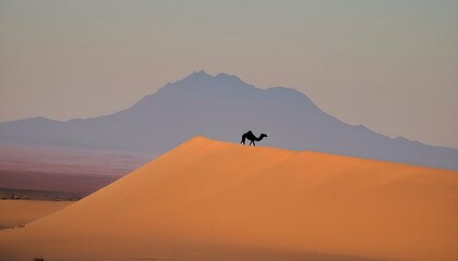 Fototapeta na wymiar A Camels Hump Silhouetted Against A Desert Horizo