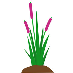 Illustration of Swamp Weed Grass with Mounds of Mud