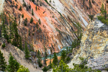 The Grand Canyon of Yellowstone: A geological masterpiece carved by the mighty Yellowstone River,...