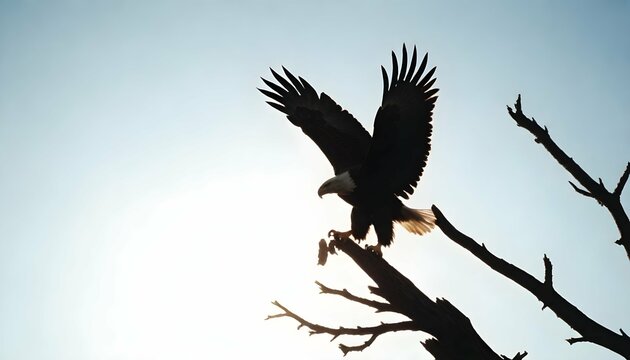 Eagle Silhouette Upscaled 133