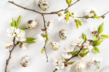 Close-up view of quail eggs on flowering branch, Easter postcard, spring mood, flowering trees,...
