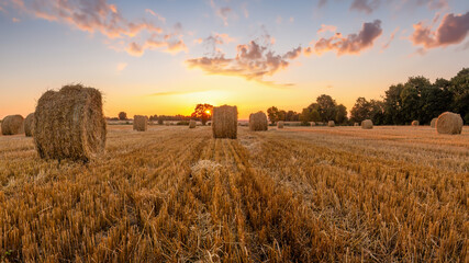 Hay bales on a field in a golden coloured sunset