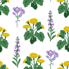 Wildflowers on a white background. Summer seamless vector illustration.